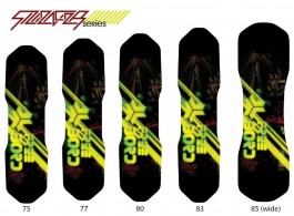  2010 - Silencer Series Downhill