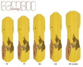  2010 - Bamboo Series Downhill 