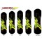  2010 - Silencer Series Downhill